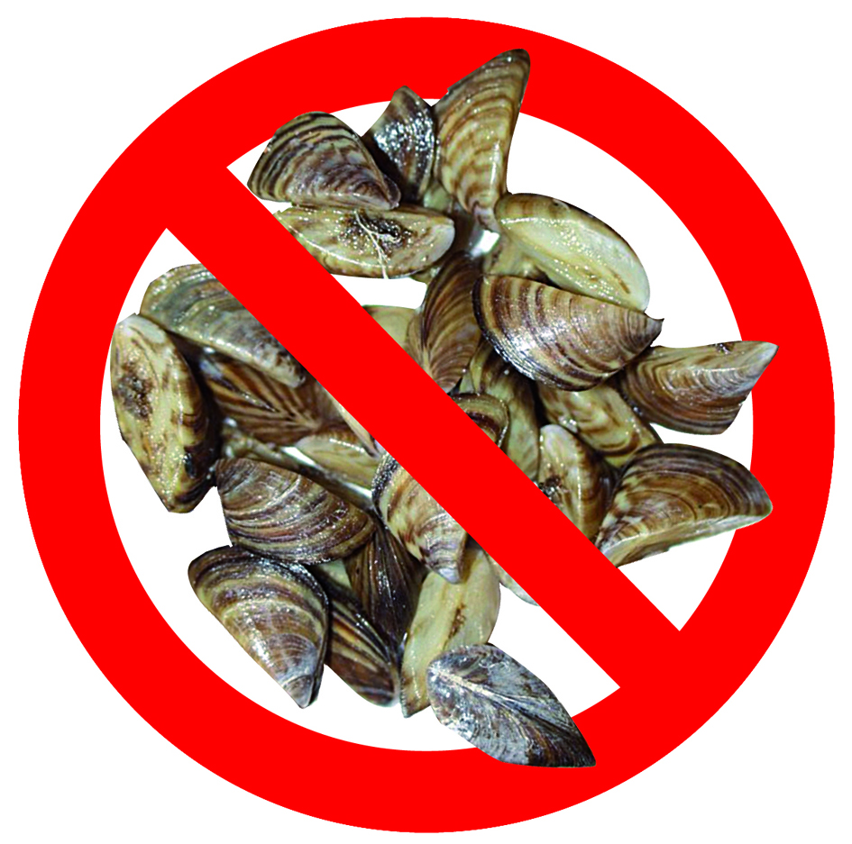 MUSSEL STOP SIGN